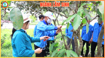 Lâm sinh